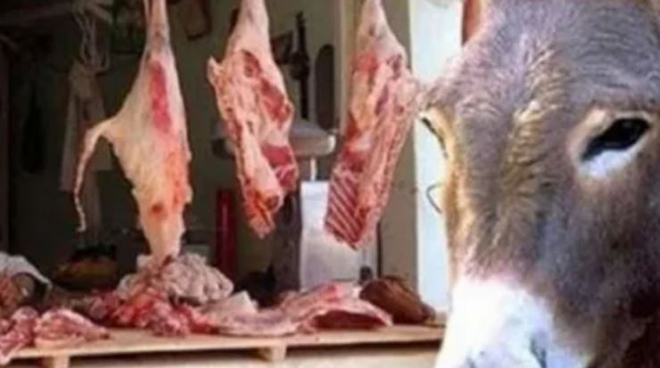 مطالب بالتحقق من فيديوهات تتعلق بلحوم كلاب وبغال تُوزع على الأسواق المغربية