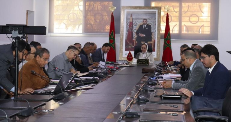 وفاء شاكر تتراس لقاء جهوي حول تقديم ومناقشة خلاصات التقرير التركيبي الجهوي للهندسة البيداغوجية للأسدوس الأول