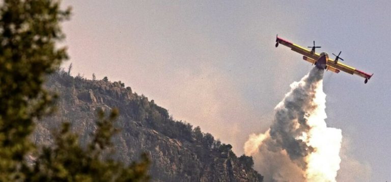 الوكالة الوطنية للمياه والغابات تحذر من خطر حرائق الغابات في 8 أقاليم
