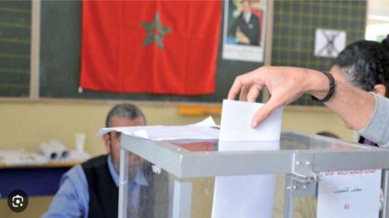 فضائح الفساد تسقط 90 منتخباً محلياً: وزارة الداخلية تستعد لإجراء الانتخابات الجزئية لتعويض المقاعد الشاغرة في سبتمبر المقبل