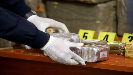 إحباط تهريب 22 كلغ من الشيرا بمعبر باب سبتة وتوقيف مغربي مقيم بالخارج