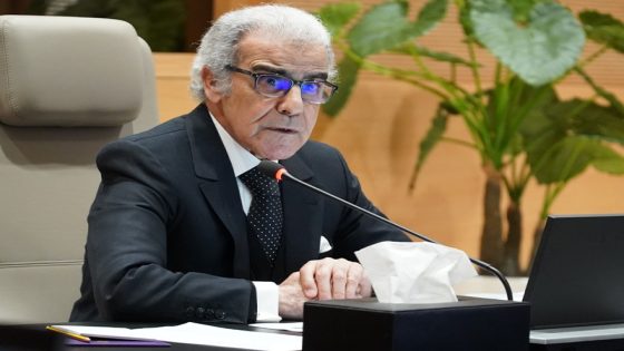 الجواهري: الدعم المباشر يجب أن يكون مؤقتاً لتجنب تأثيره على فرص الشغل وميزانية الدولة