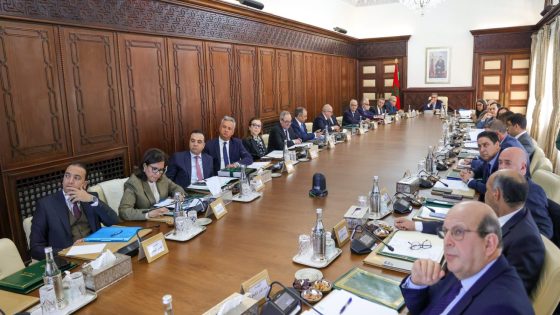 تموين الأسواق الوطنية من المنتجات الفلاحية.. البواري: وزارة الفلاحة متأهبة مع جميع الشركاء والمهنيين