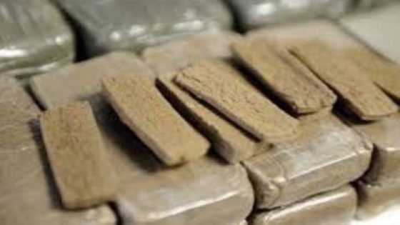 تفكيك شبكة لتجارة المخدرات وحجز 8 كلغ من الحشيش بالداخلة.