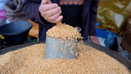 زكاة الفطر في المغرب.. تراجع الإخراج العيني وتزايد الإقبال على الأداء النقدي