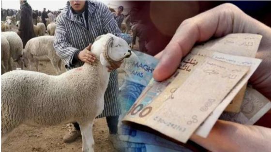 لجنة استطلاعية نيابية حول “التلاعب في عمليات استيراد الأغنام”