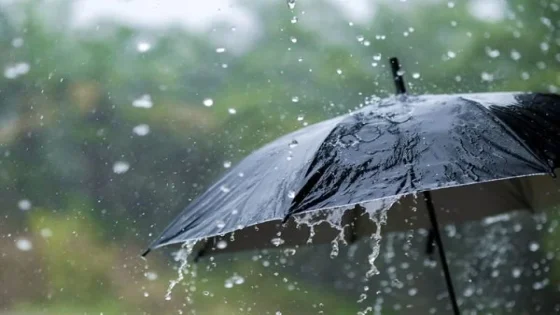 أعلاها بطنجة…مقاييس التساقطات المطرية المسجلة بالمملكة خلال الـ 24 ساعة الماضية