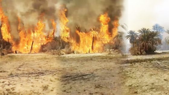توقيف أربعة قاصرين على خلفية حريق تغجيجت الضخم.