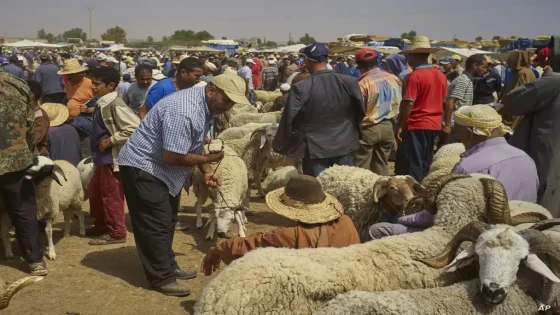 الداخلية تصدر تعليمات بمنع كل الأنشطة الخاصة بعيد الأضحى.