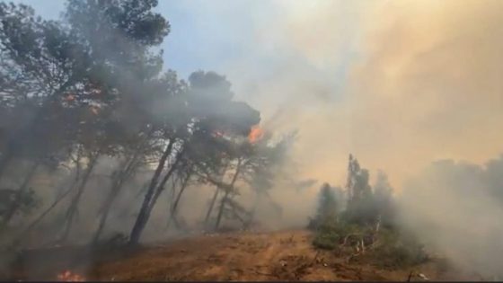 اندلاع حريق بغابة هوارة التابعة لجماعة اكزناية بطنجة… توقيف شخص للاشتباه في إيقاده النار عمدا (بلاغ للوكيل العام للملك)