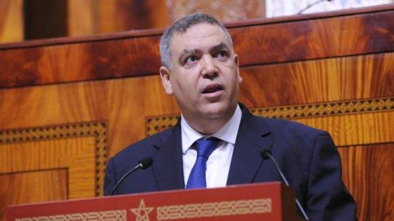 لفتيت يندد بحملات إعلامية تستهدف صورة المغرب عبر ملف “الكلاب الضالة”