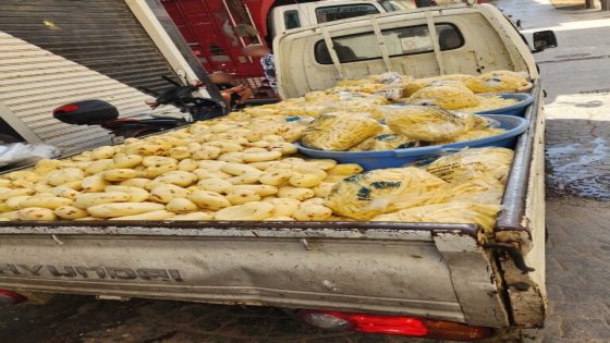 مصادرة طن من البطاطس الفاسدة داخل محل غير مرخص بالفنيدق.