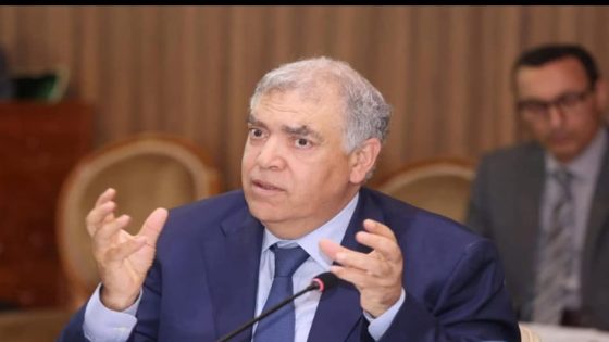 بعد خطاب عيد العرش المجيد : الداخلية تترجم التوجيهات الملكية السامية إلى خطة عمل للتنمية المندمجة.