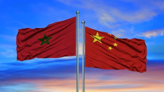 موقف صيني جديد يعيد الزخم لملف الصحراء المغربية: بكين تؤكد عدم استخدام “الفيتو” وتدعم مسار الحكم الذاتي