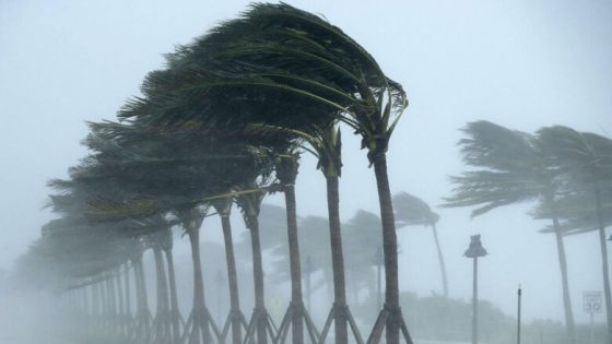 طقس الخميس: أجواء باردة ورياح قوية بعدة مناطق